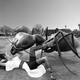 Image for article titled 10 Frightening Facts You Probably Didn't Know About Ants